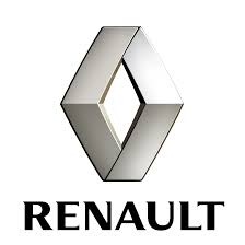 Renault opravná sada 50ml