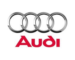 Audi opravná sada 50ml