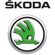 Škoda opravná sada 50ml