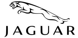 Jaguar opravná sada 50ml